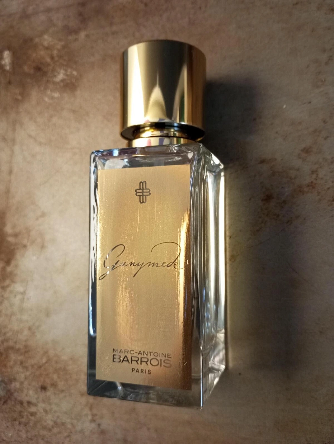 Marc-Antoine Barrois Ganymede