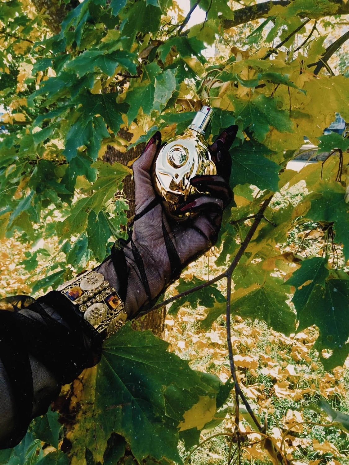 Map Of The Heart Gold Heart V 4