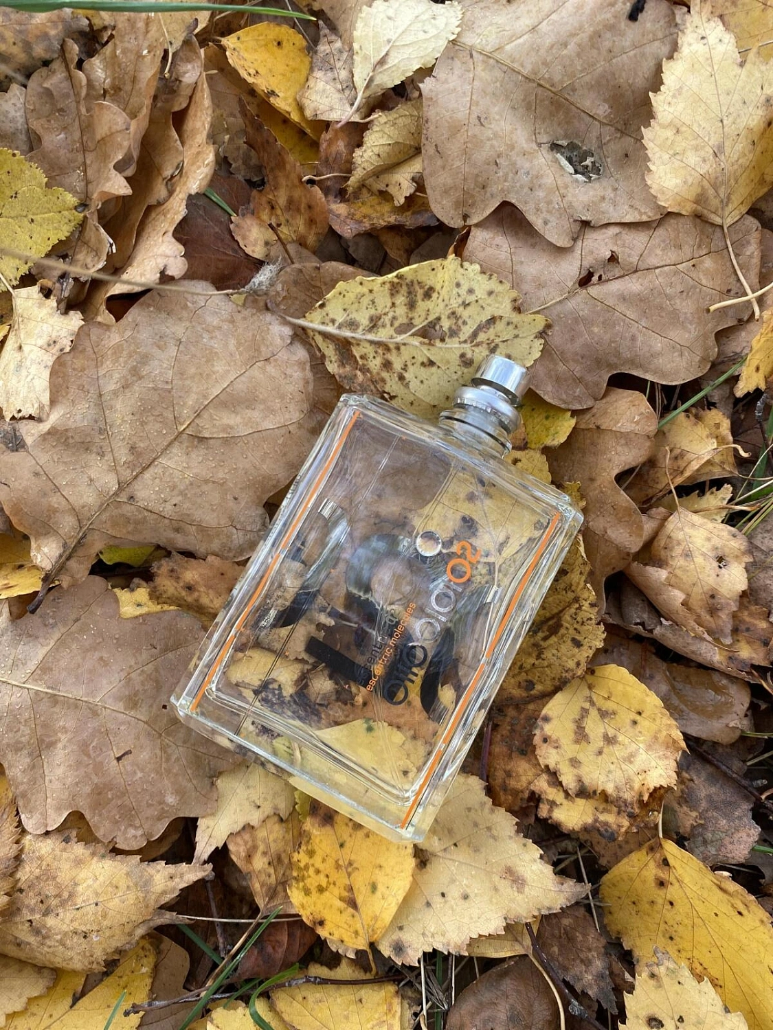 Escentric Molecules Escentric 02