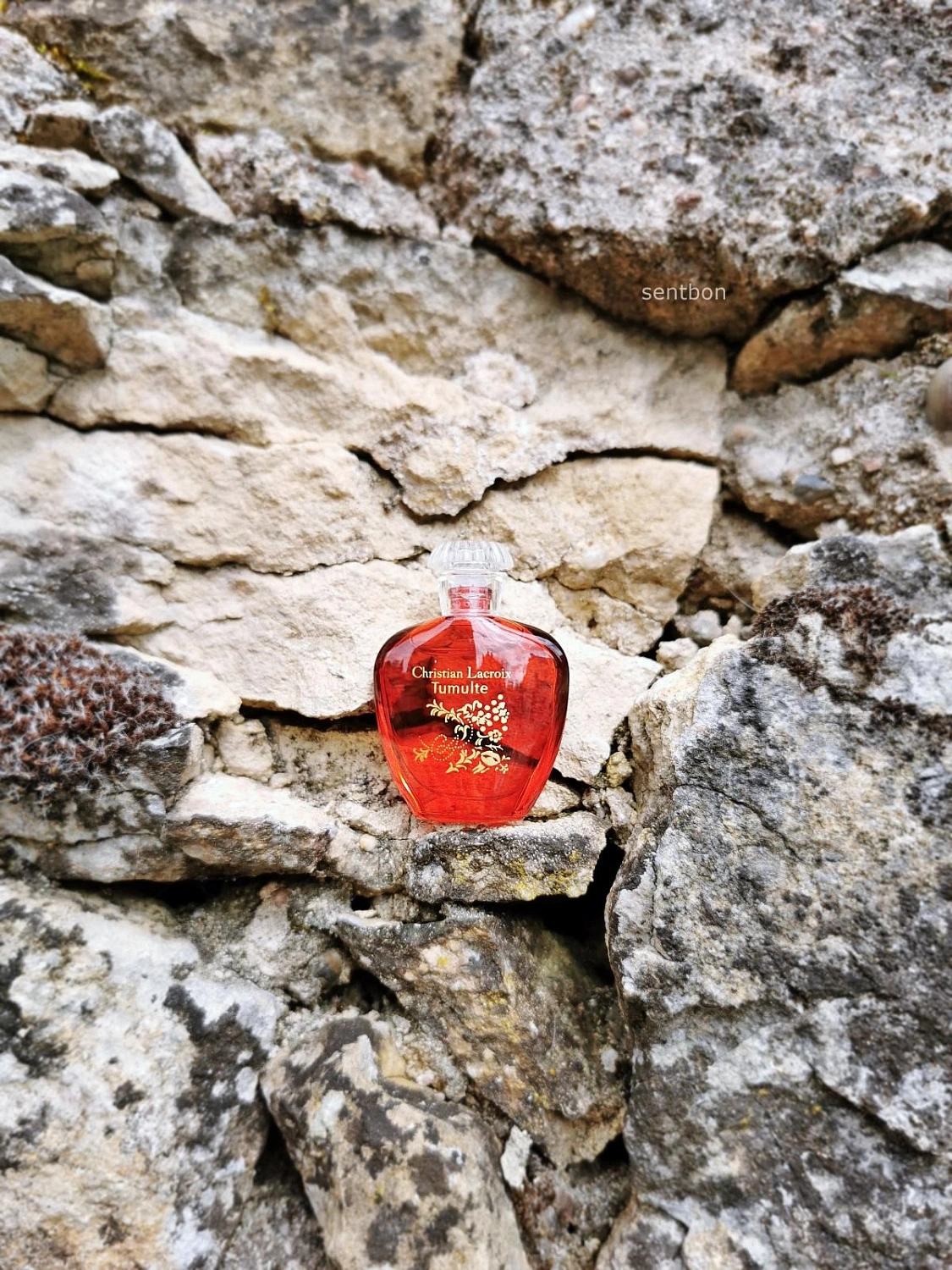 Christian Lacroix Tumulte