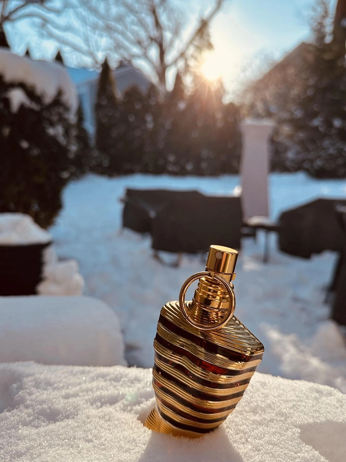 Jean Paul Gaultier Le Male Elixir