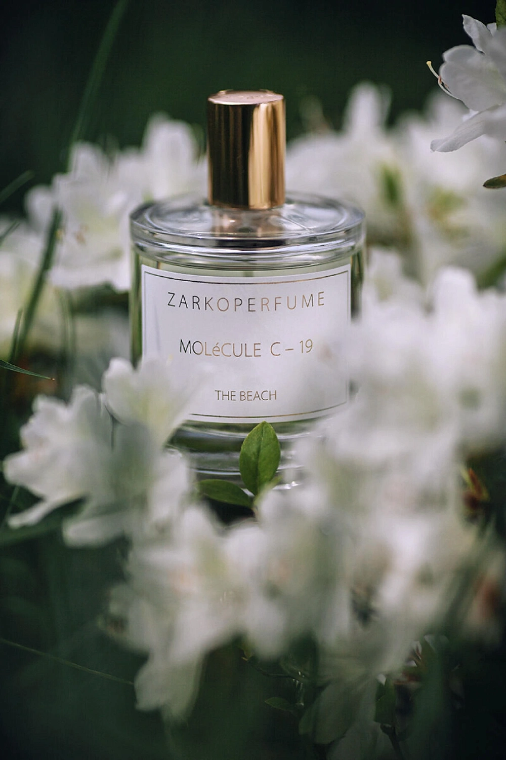 Zarkoperfume MOLeCULE C-19 The Beach Zarkoperfume MOLeCULE C-19 The Beach