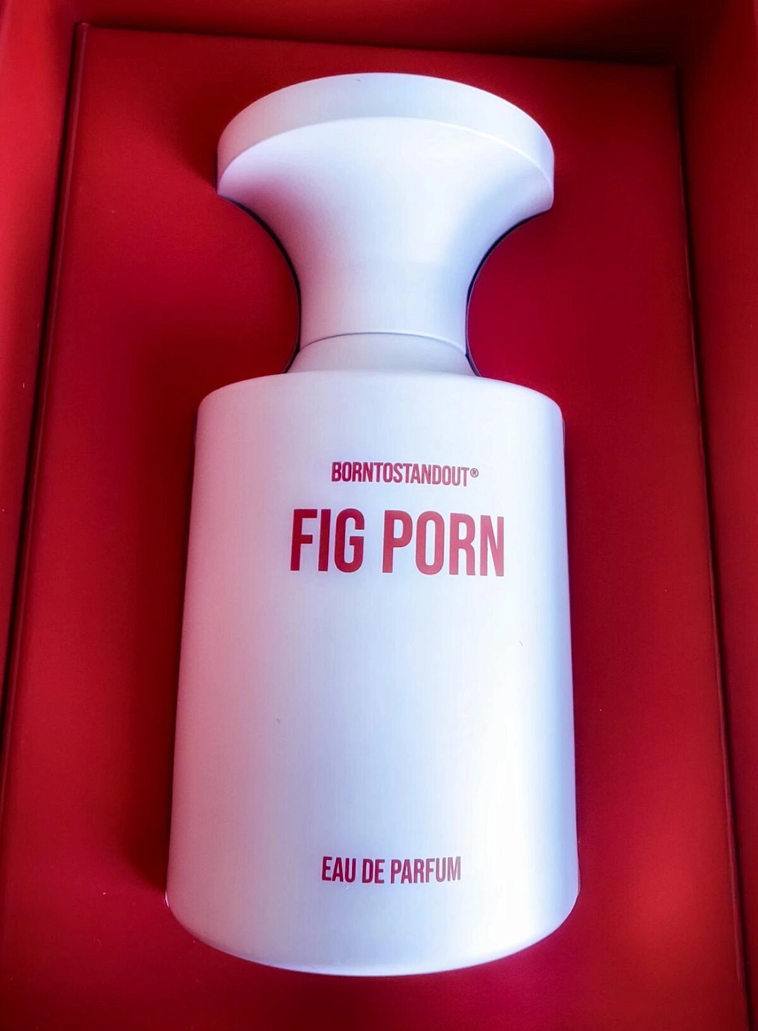 Borntostandout Fig Porn Borntostandout Fig Porn