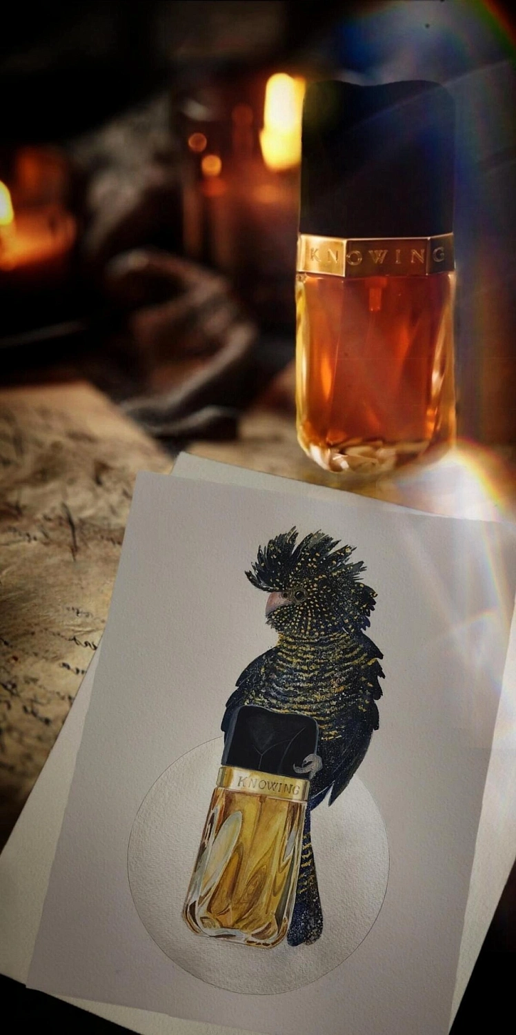 Estee Lauder Knowing