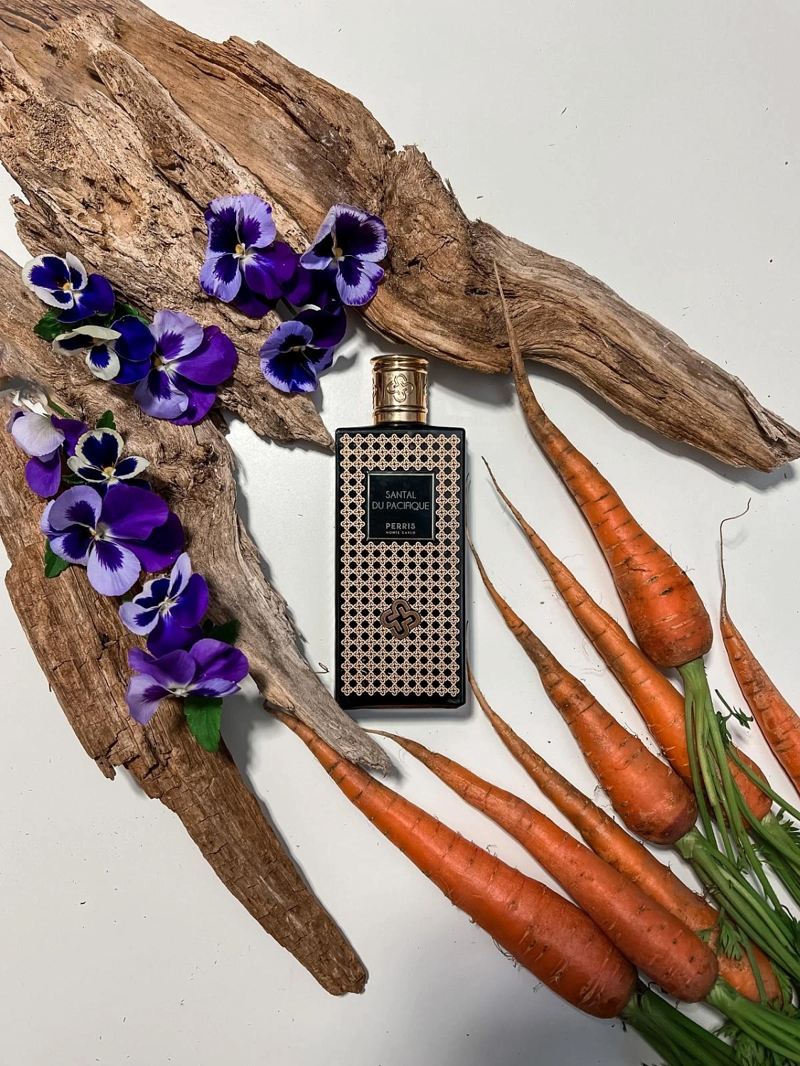 Perris Monte Carlo Santal du Pacifique