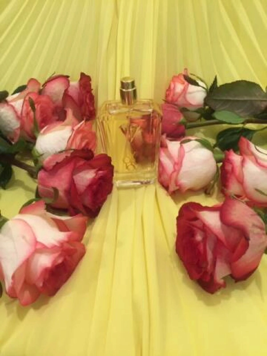 Orlov Paris Sun Drop