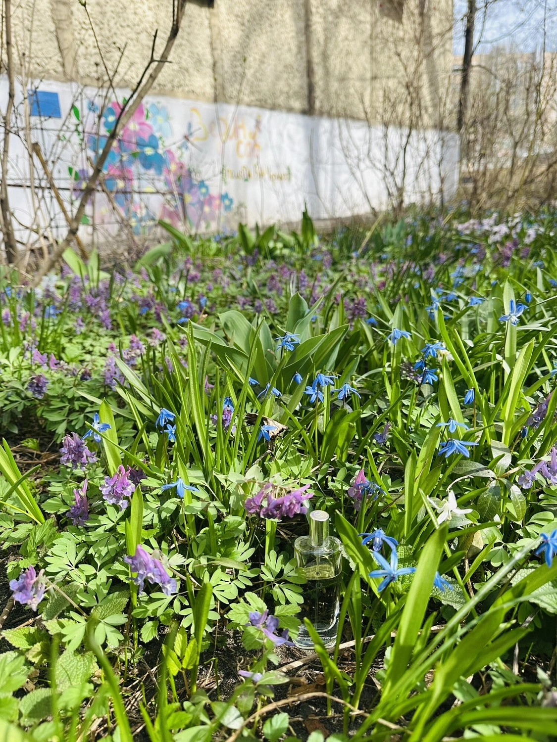 Armani Acqua Di Gioia