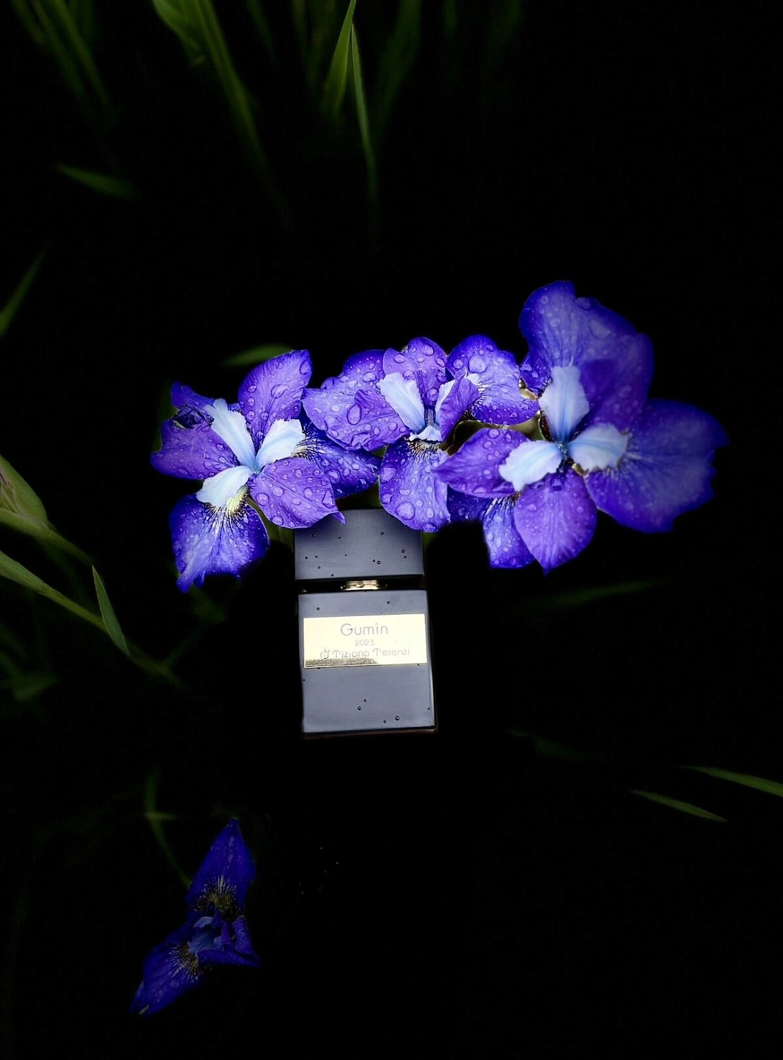 Tiziana Terenzi Gumin