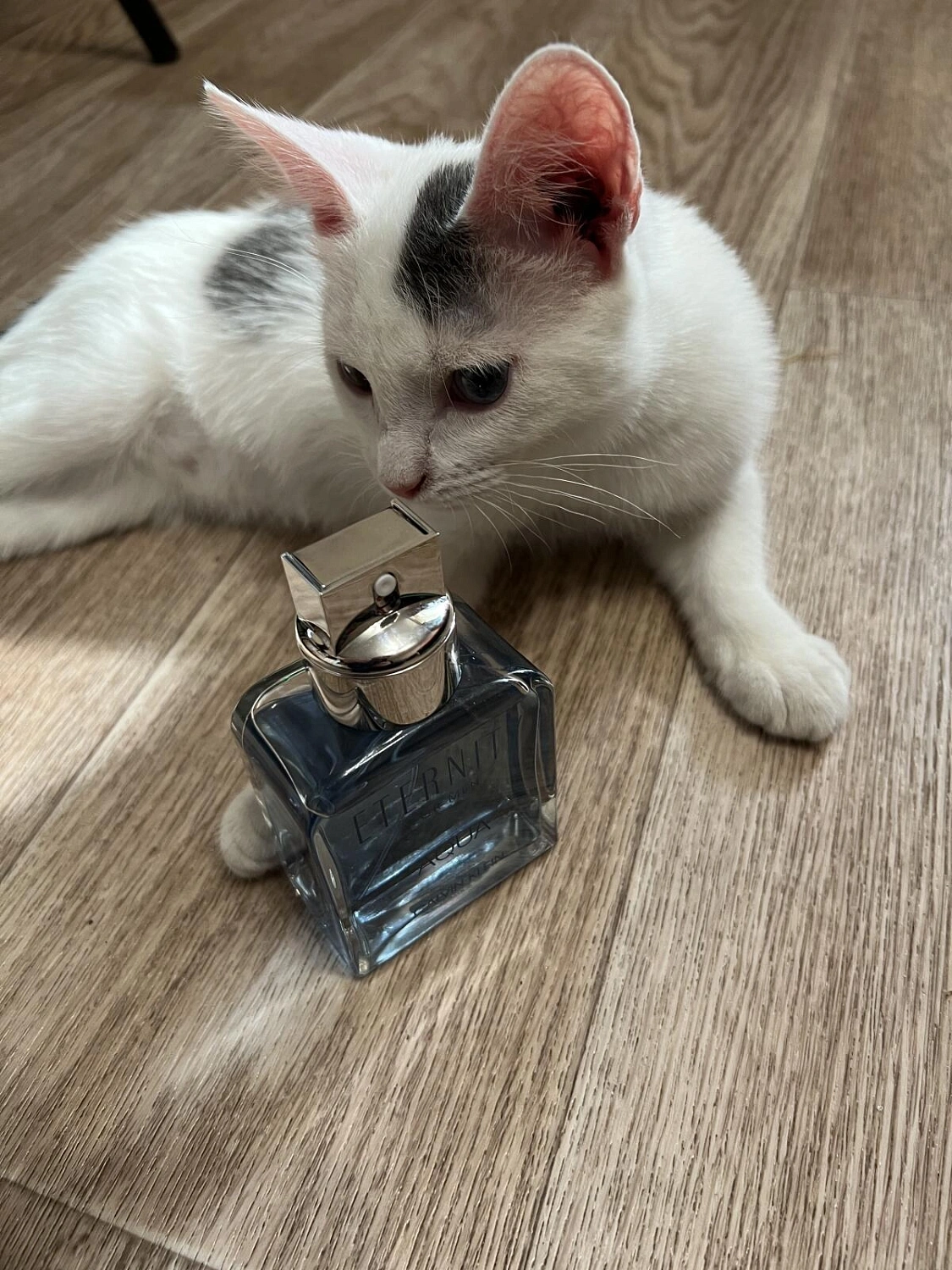 CALVIN KLEIN Eternity Aqua for Men CALVIN KLEIN Eternity Aqua for Men