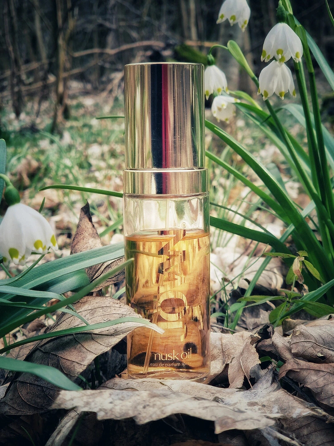 Jovan Musk for Women