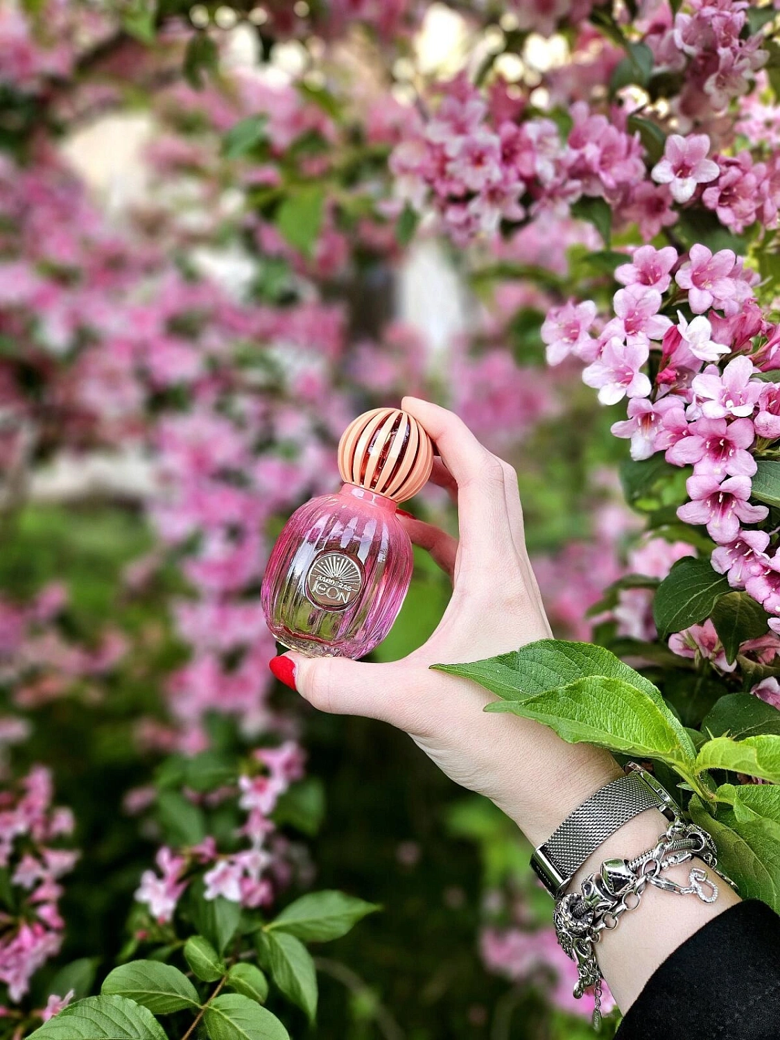 Antonio Banderas The Icon Splendid