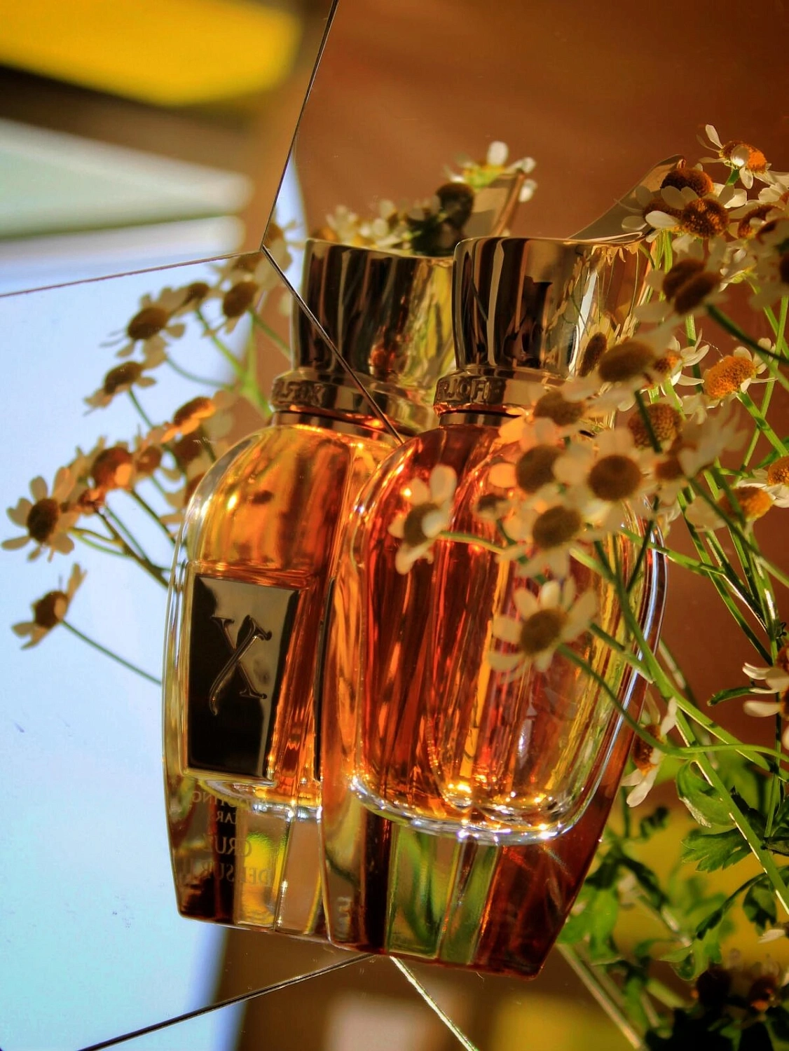 Xerjoff Cruz del Sur II