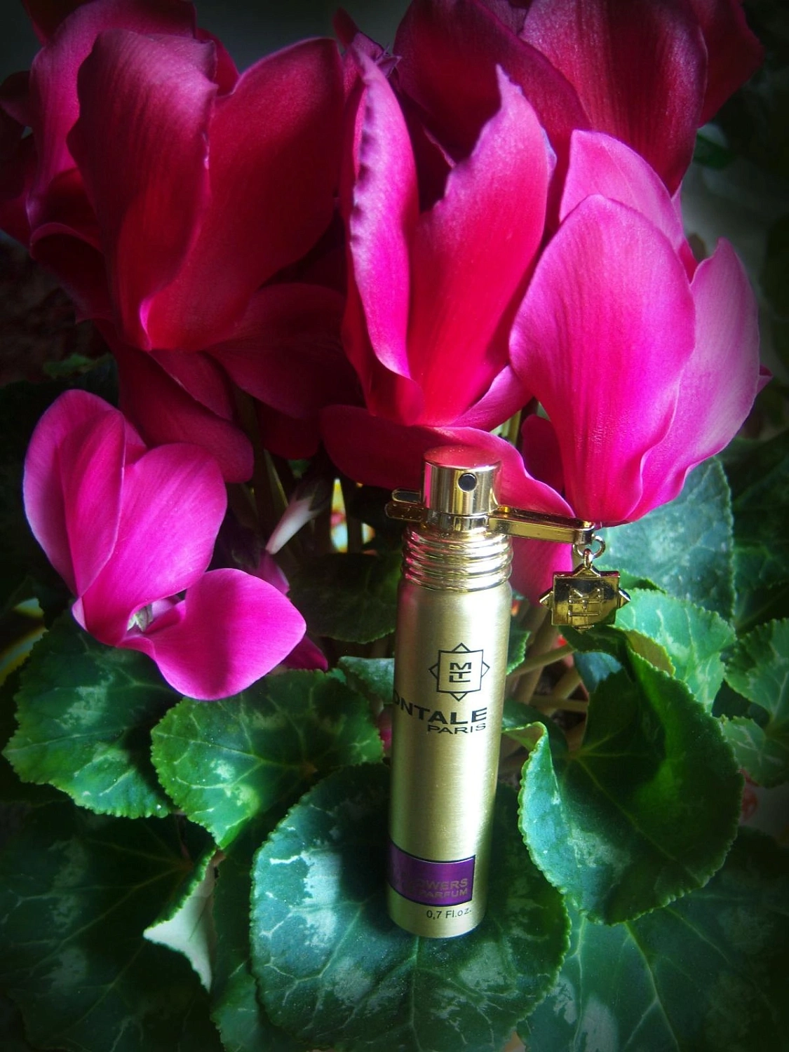 MONTALE Velvet Flowers