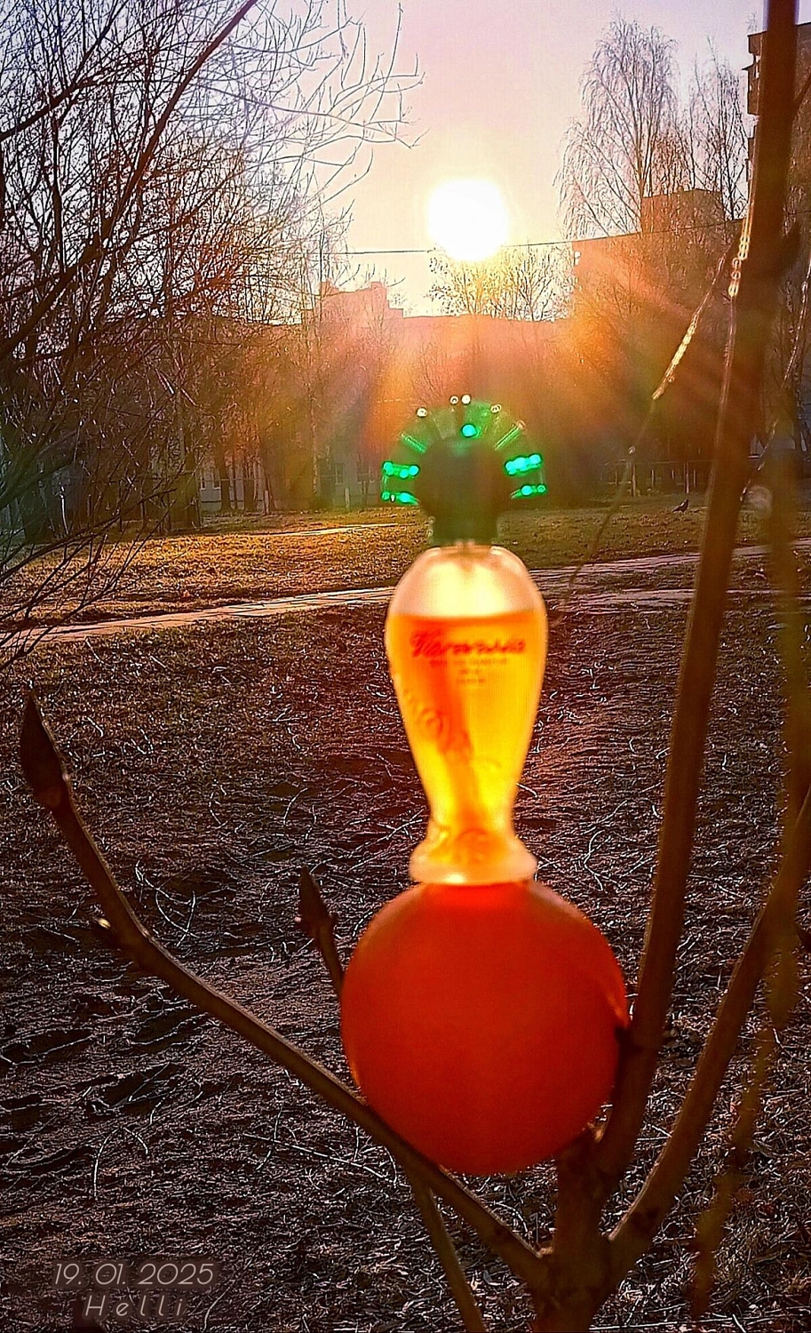 Ulric de Varens Varensia