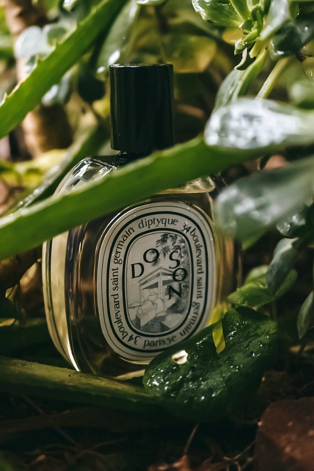 Diptyque Do Son Eau de Toilette Limited Edition 2022 Diptyque Do Son Eau de Toilette Limited Edition 2022