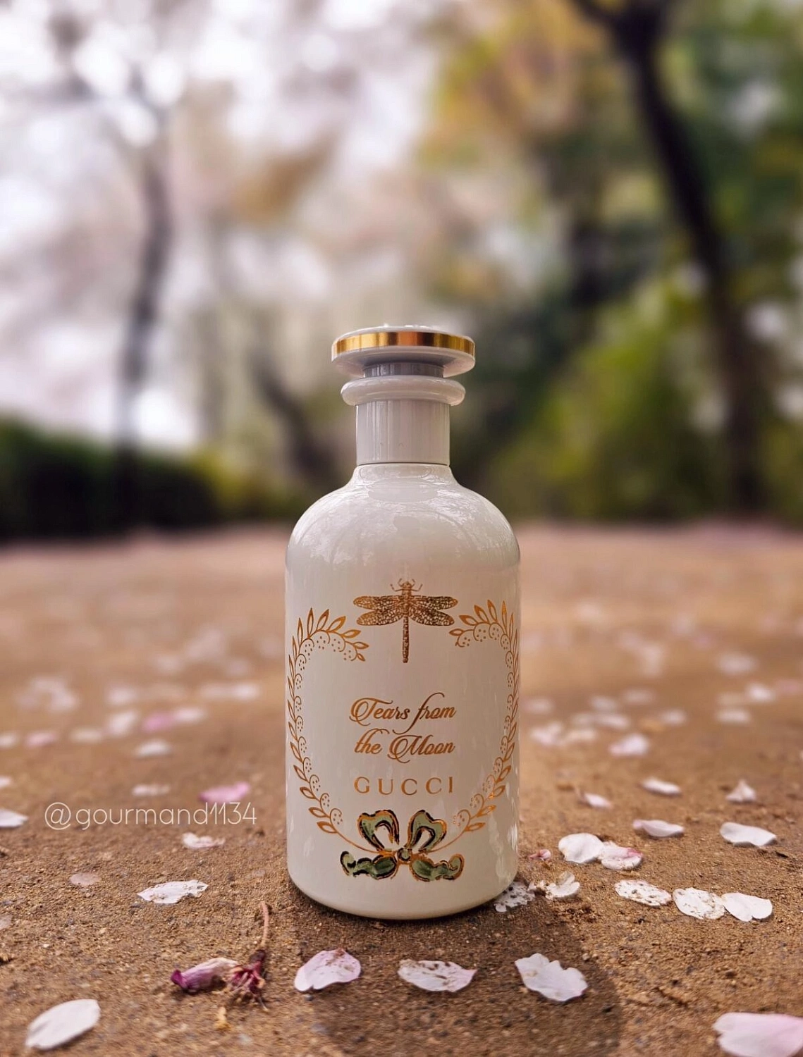 GUCCI Tears From The Moon