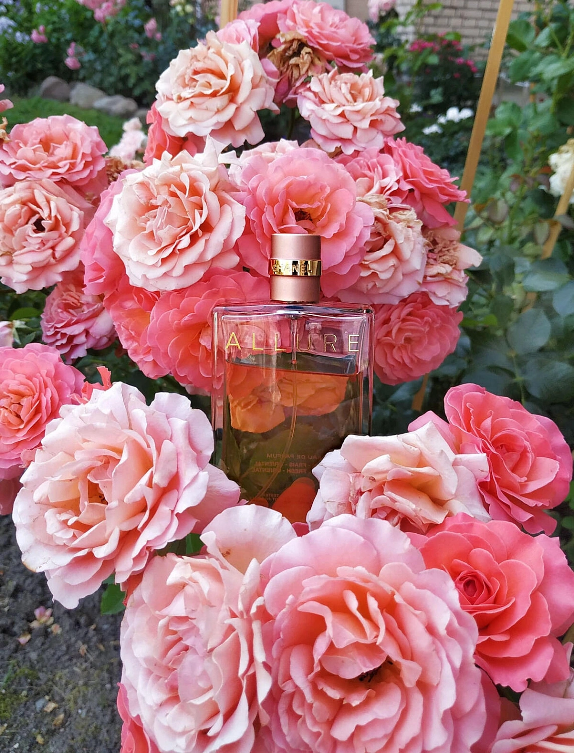 Chanel Allure Eau de Parfum