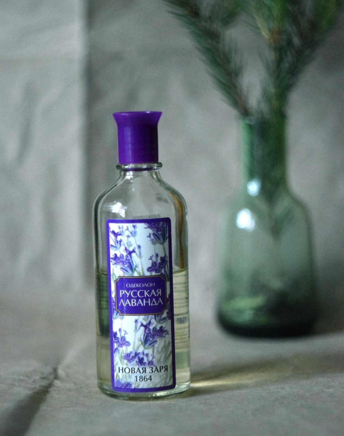 Novaya Zarya (Новая Заря) Русская Лаванда