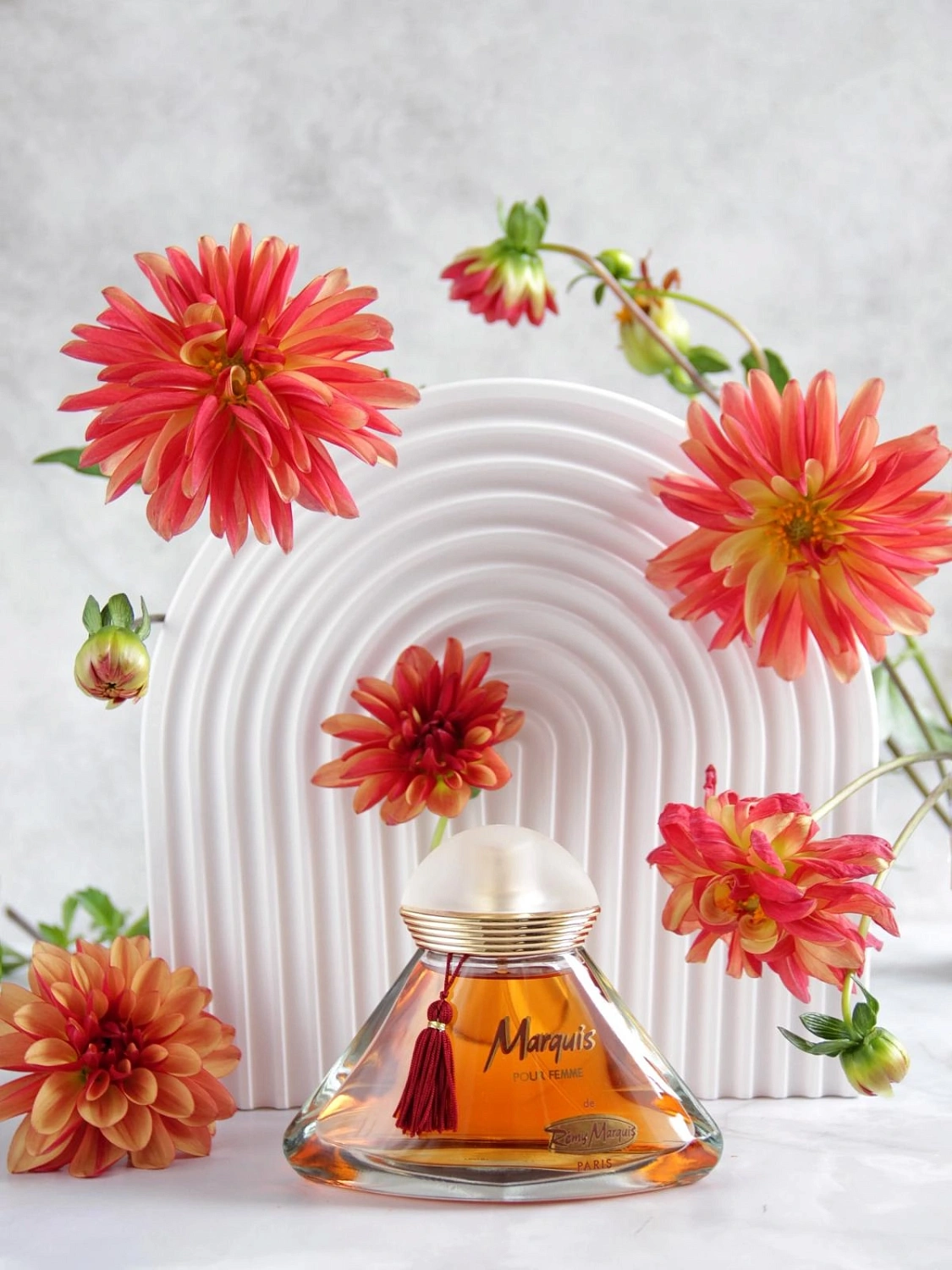 Remy Marquis Marquis