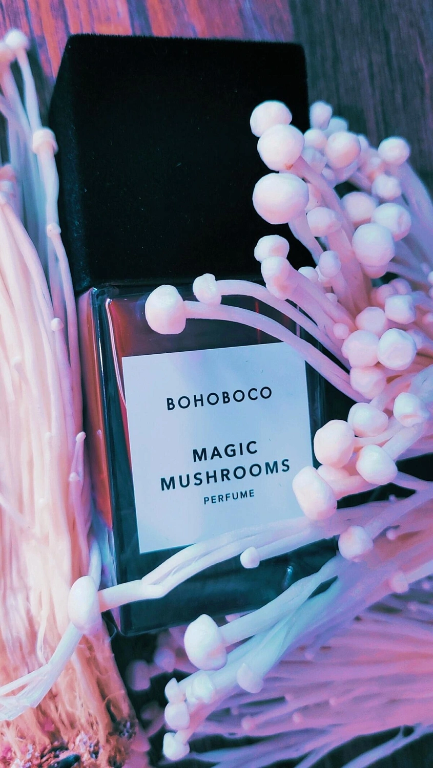 Bohoboco Magic Mushrooms