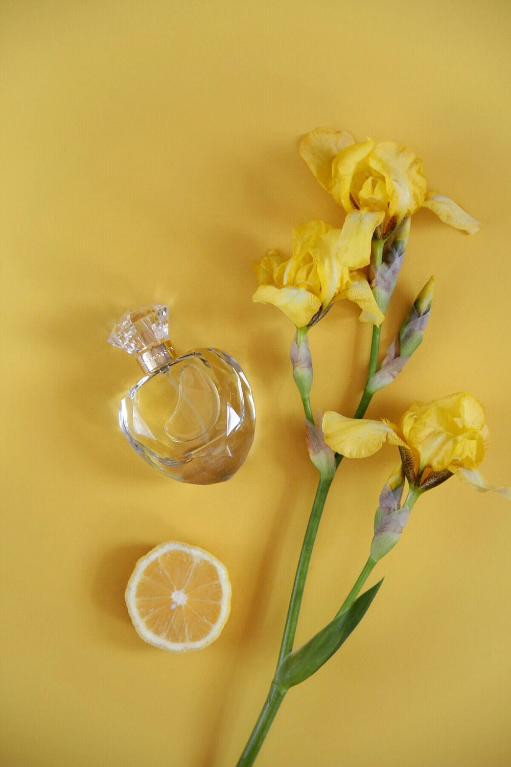 Cosmogony Lemon Slice