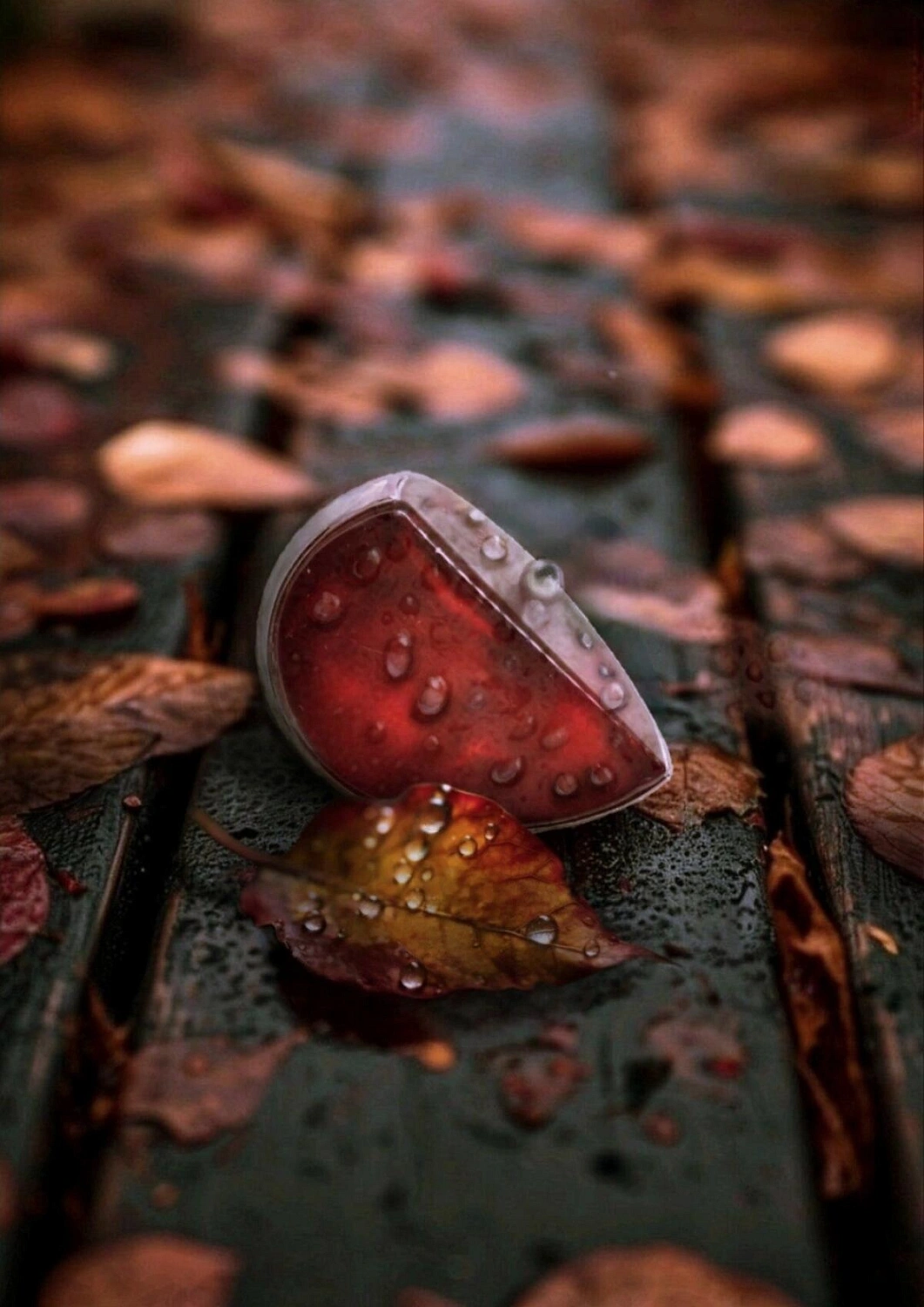 Alexander McQueen Kingdom