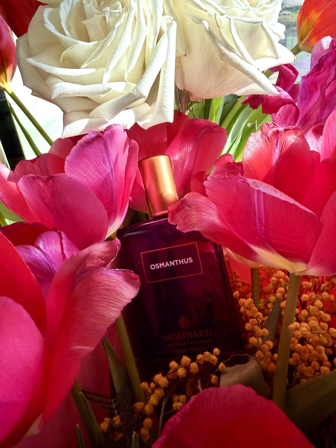Molinard Osmanthus