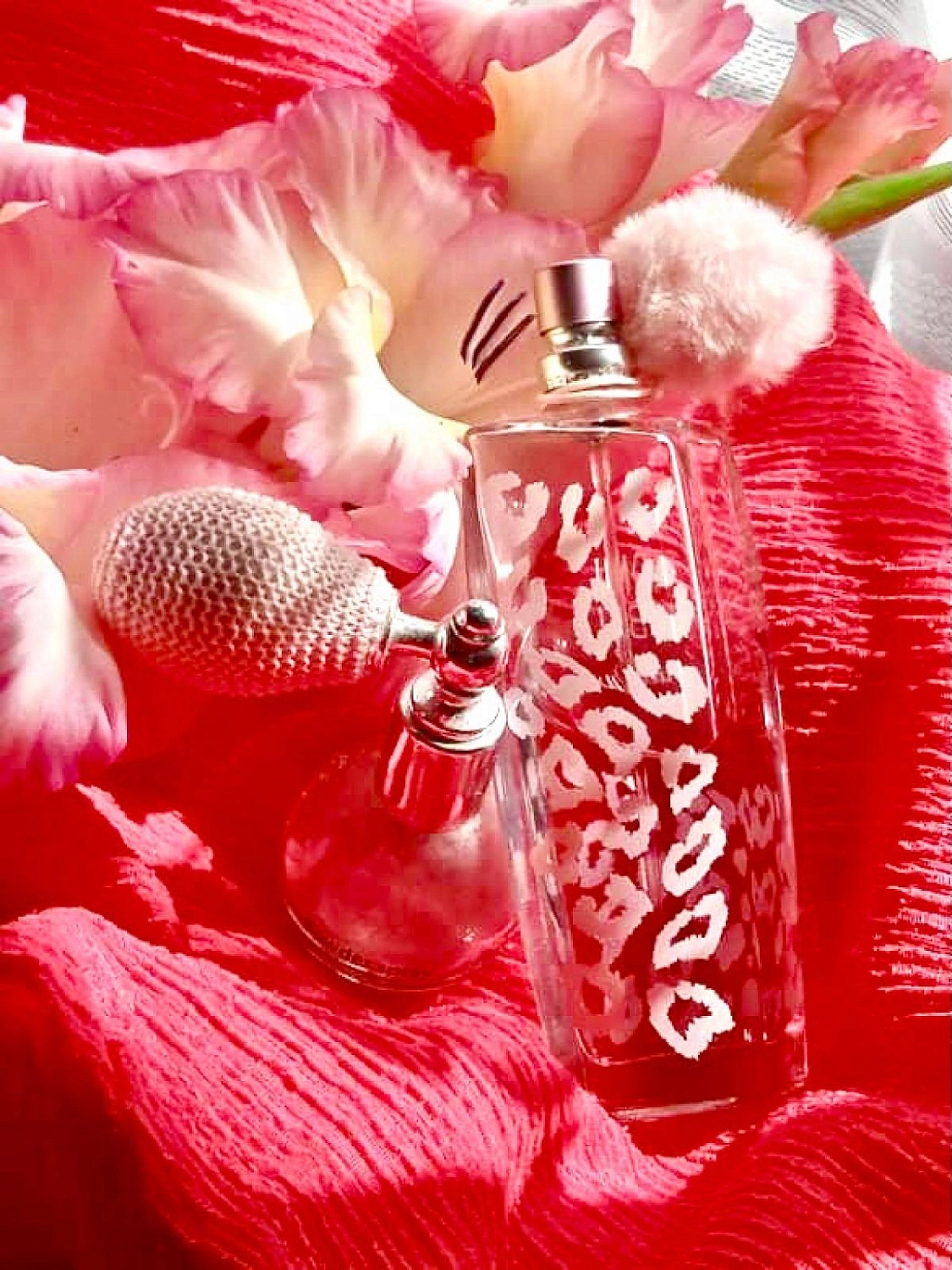 Naomi Campbell Cat Deluxe