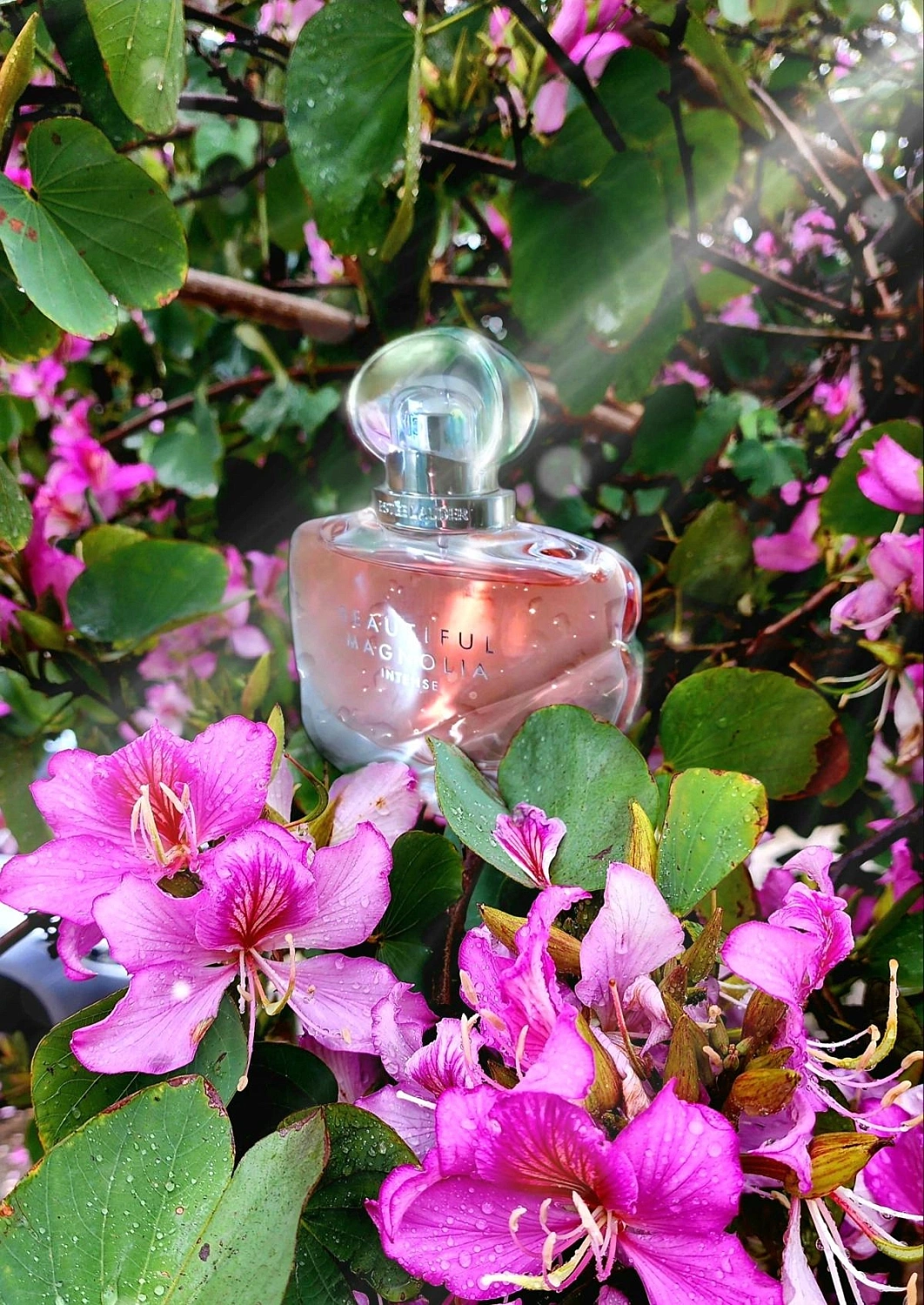 Estee Lauder Beautiful Magnolia Intense Estee Lauder Beautiful Magnolia Intense