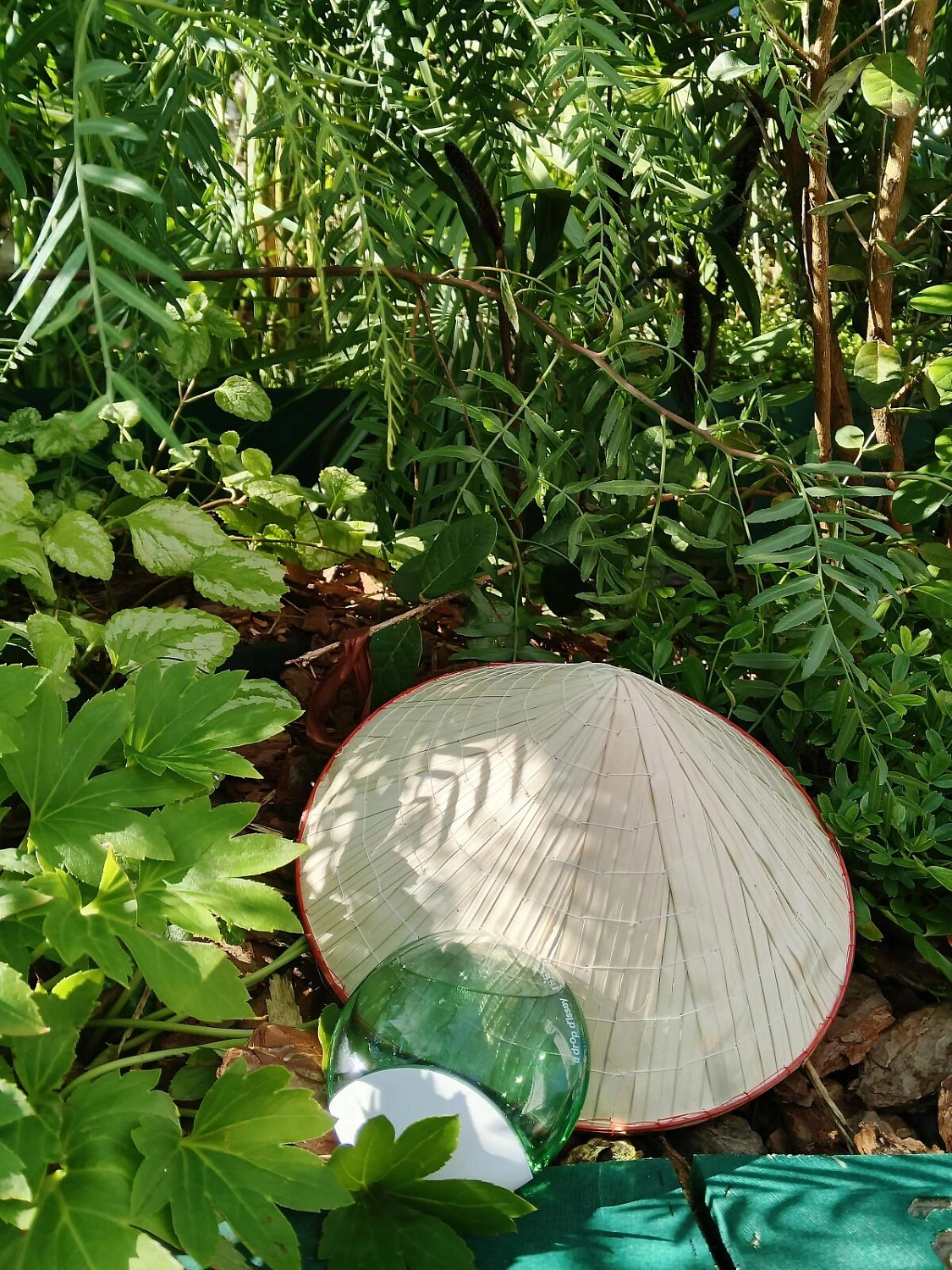 Issey Miyake A Drop d'Issey Essentielle