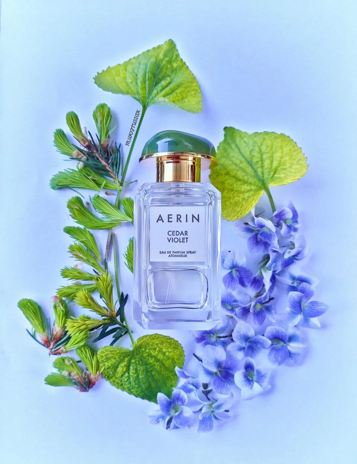 AERIN Cedar Violet