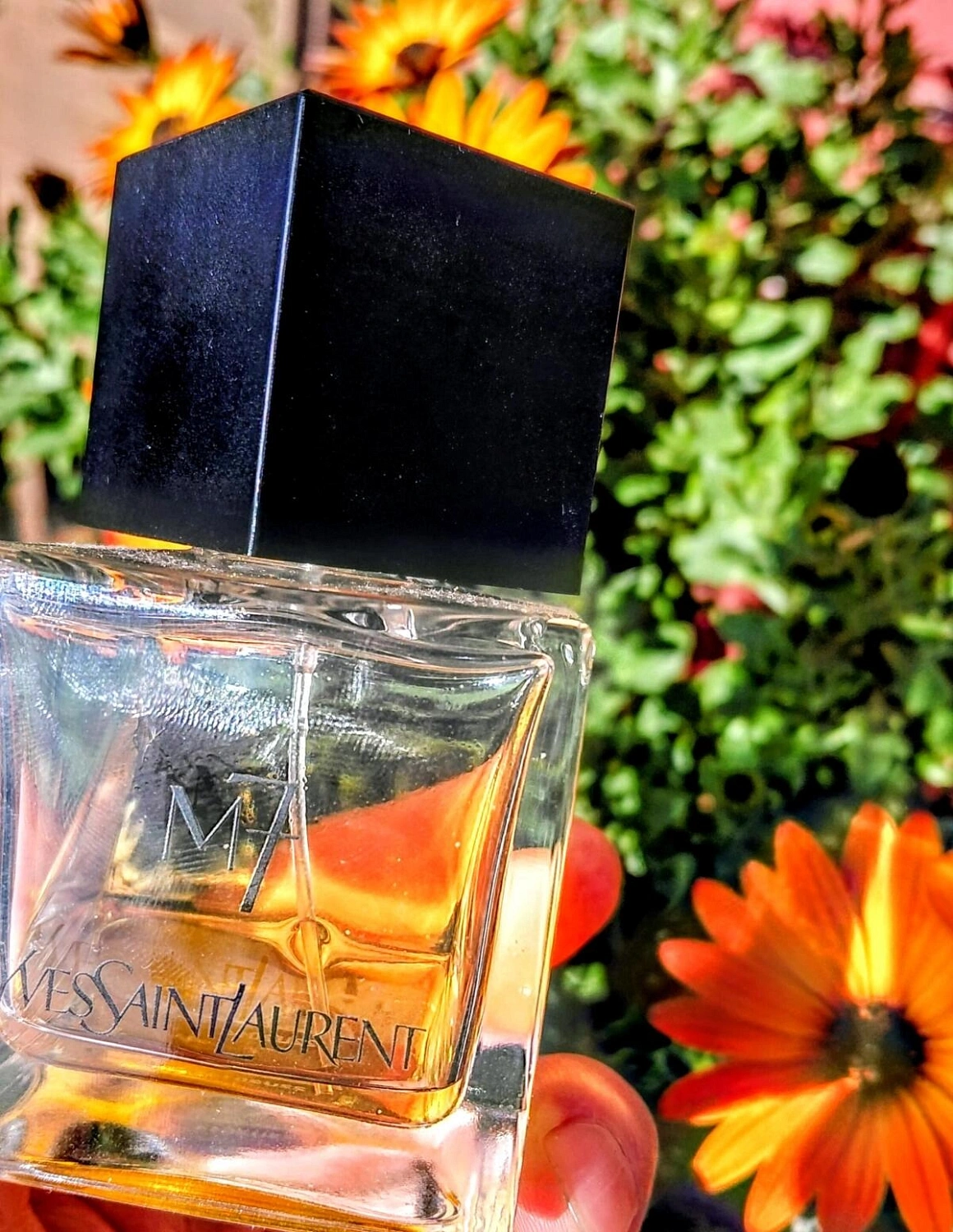 Yves Saint Laurent La Collection M7 Oud Absolu