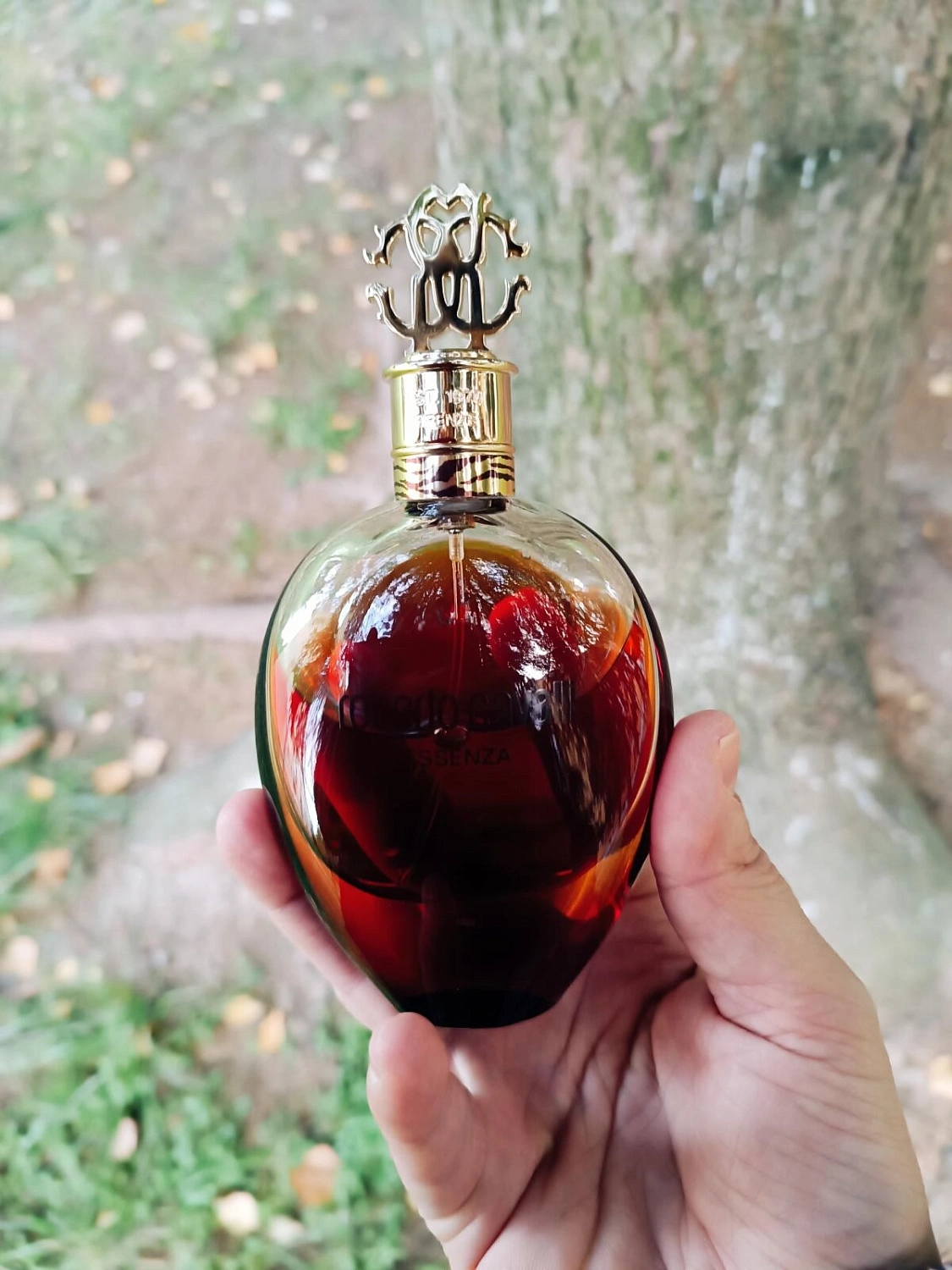 Roberto Cavalli Essenza Roberto Cavalli Essenza