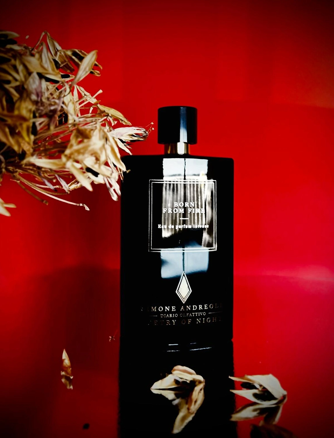 Simone Andreoli Born From Fire