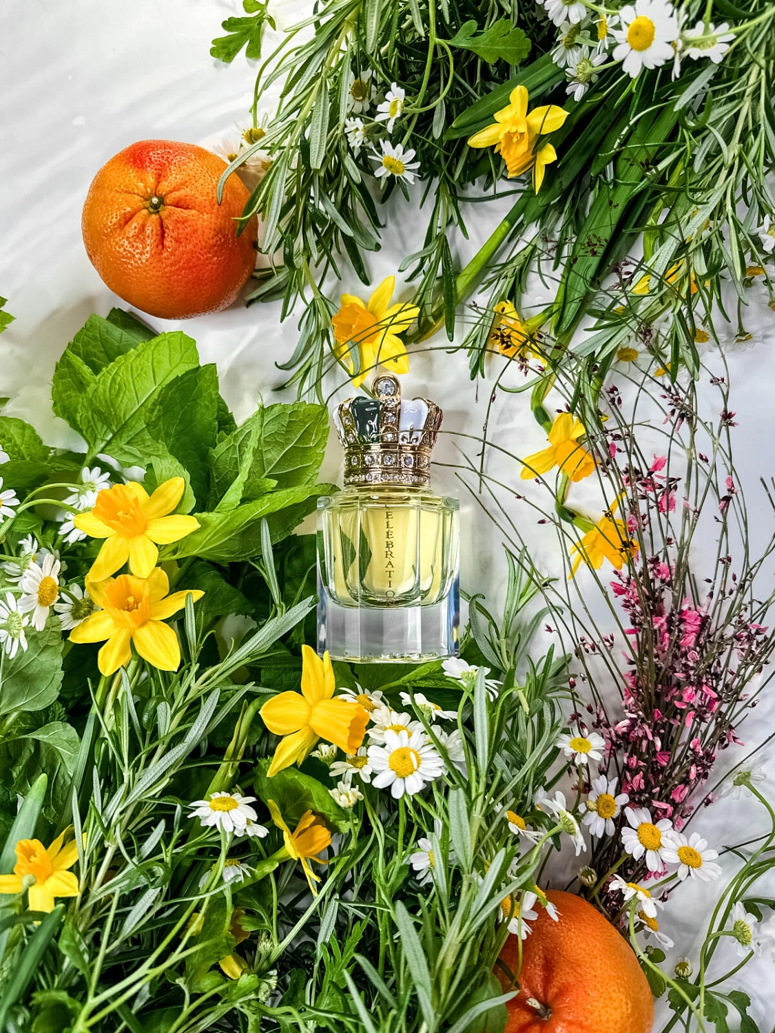 Royal Crown Celebration