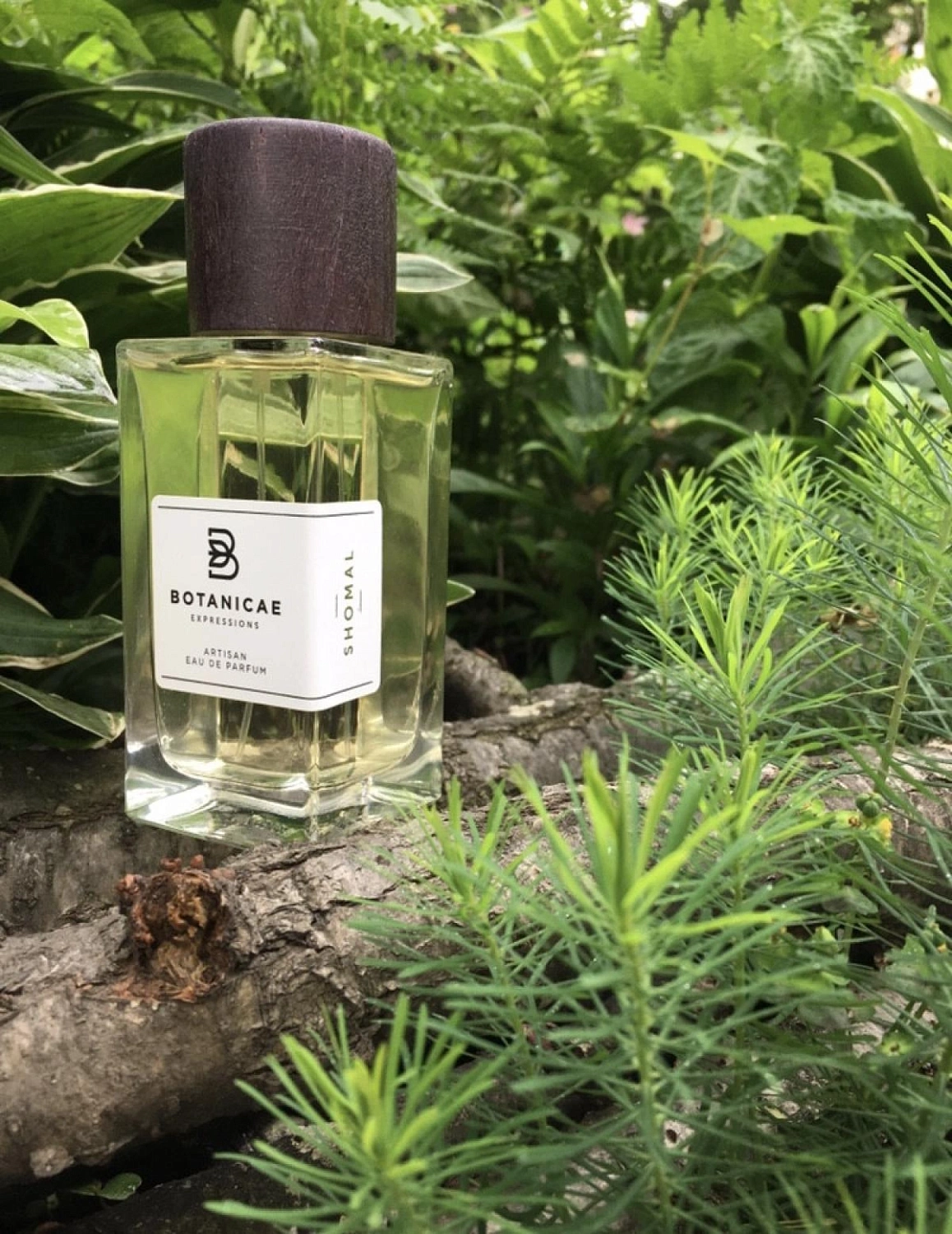 Botanicae Shomal Botanicae Shomal