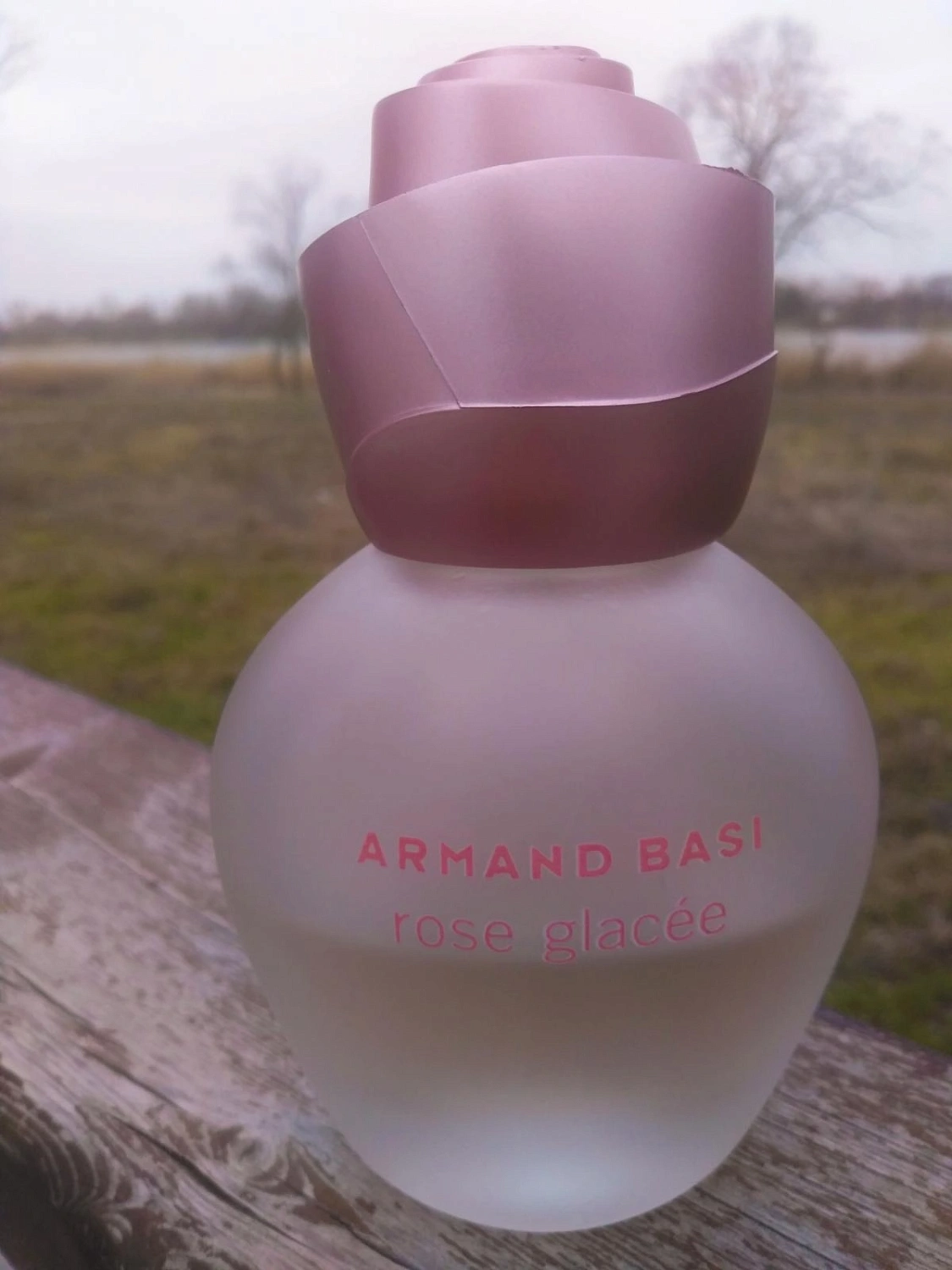 Armand Basi Rose Glacee Armand Basi Rose Glacee