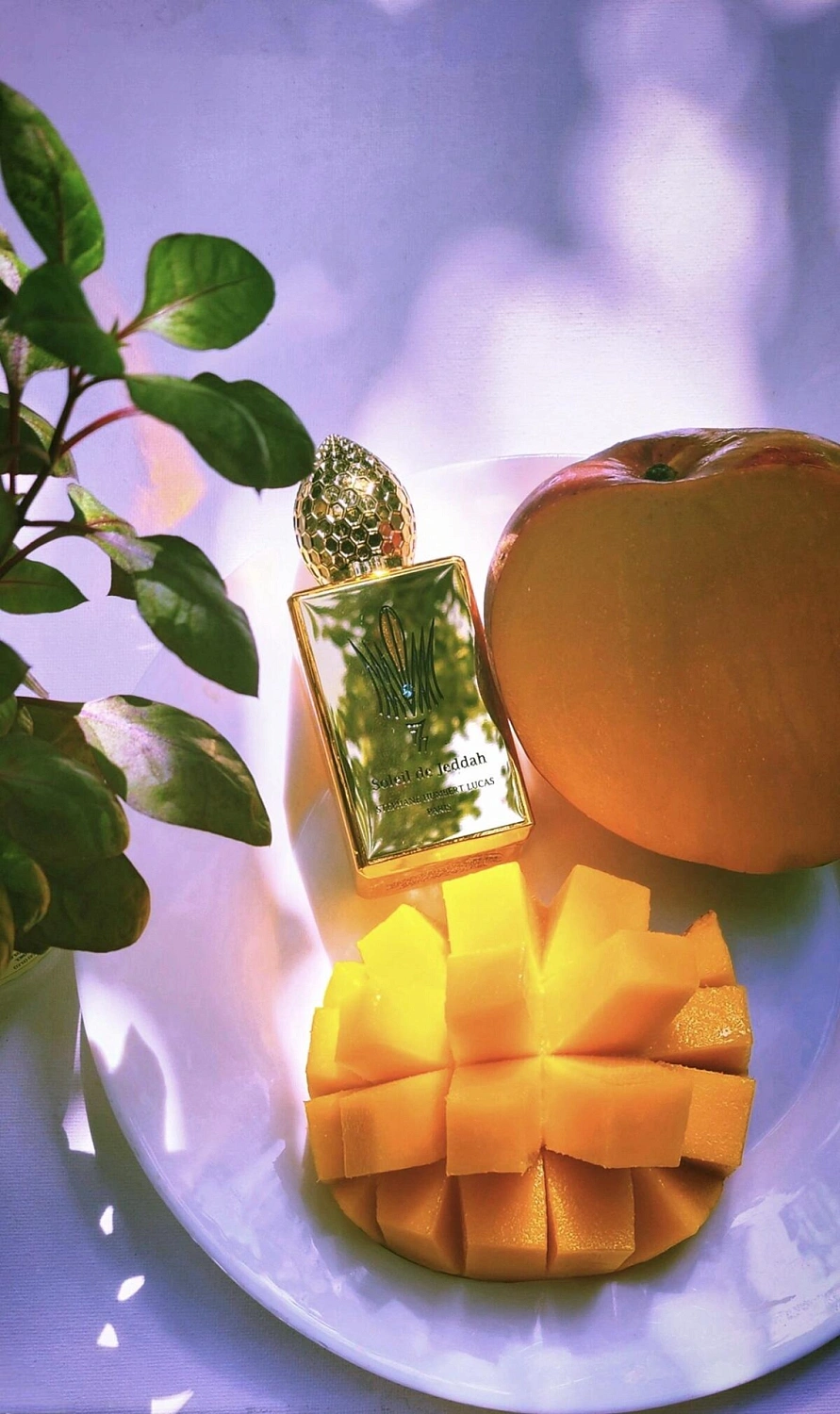 Stephane Humbert Lucas 777 Soleil de Jeddah Mango Kiss