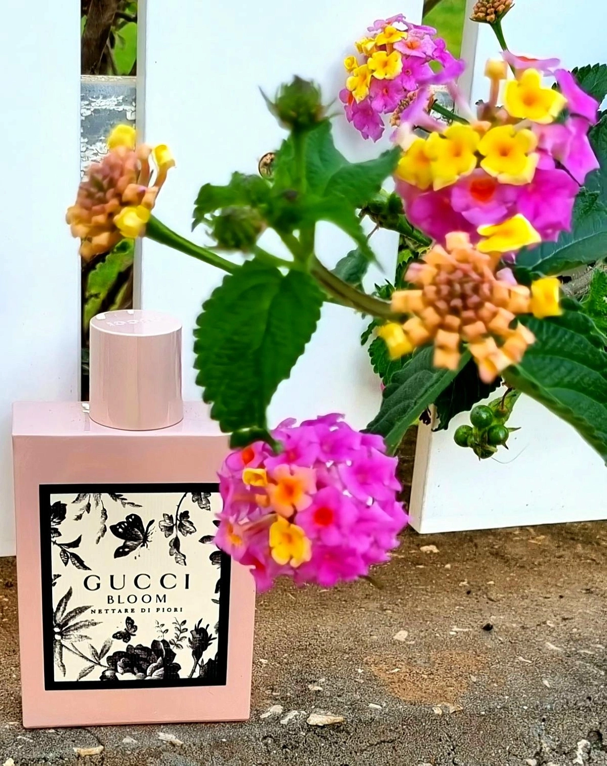 Gucci Bloom Nettare Di Fiori