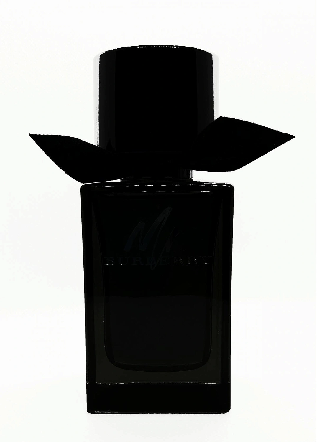 Mr. Burberry Eau de Parfum