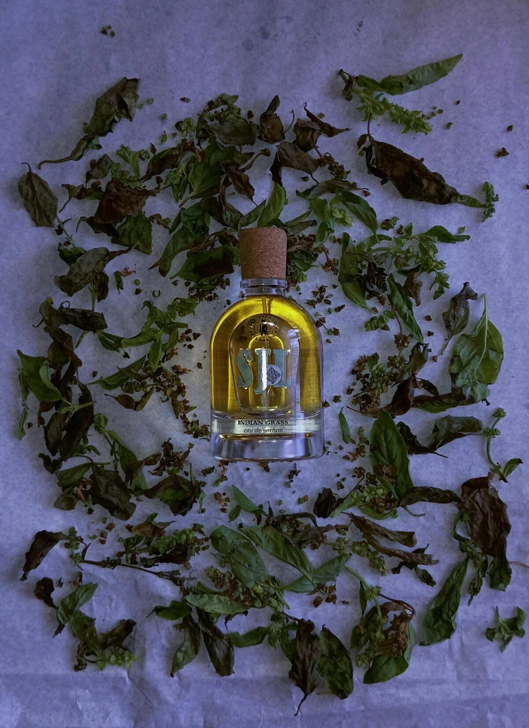 Sly John's Lab Indian Grass