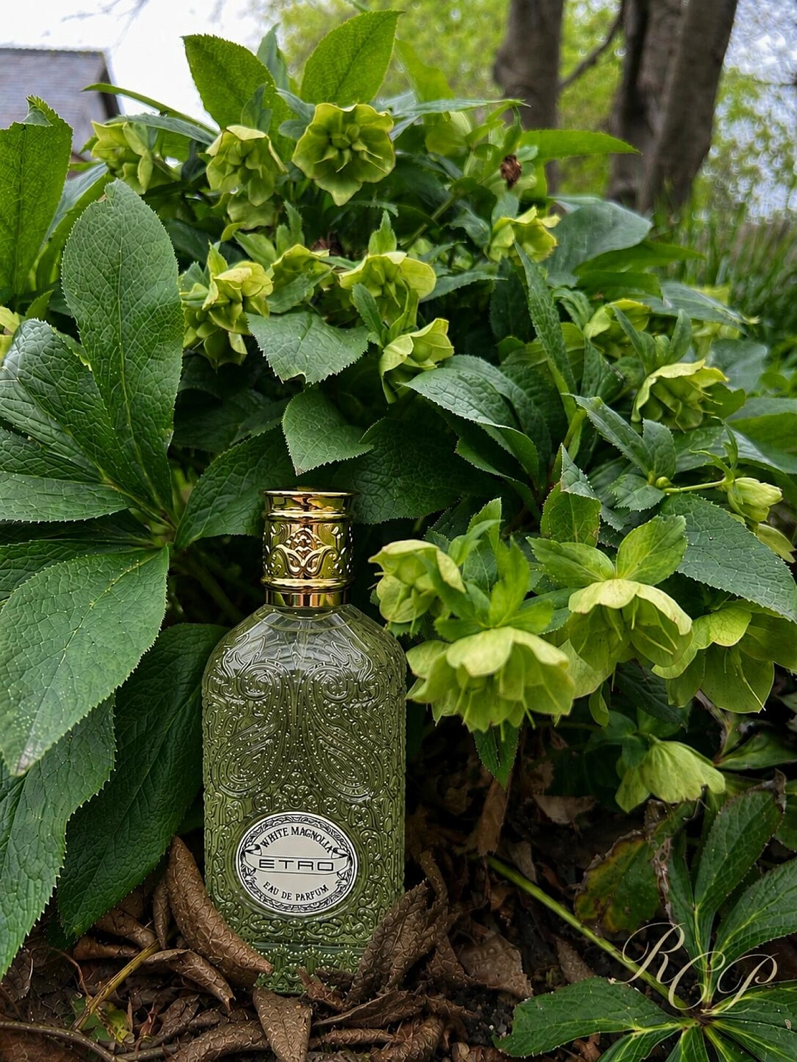 Etro White Magnolia
