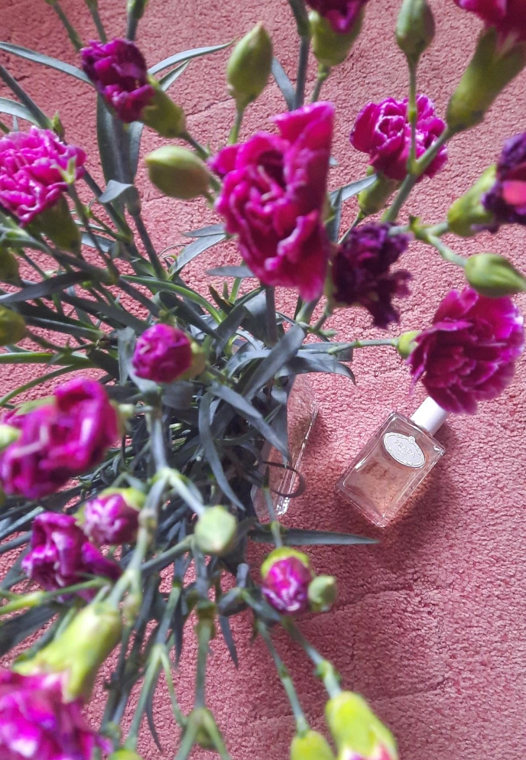 Prada Infusion d’Oeillet