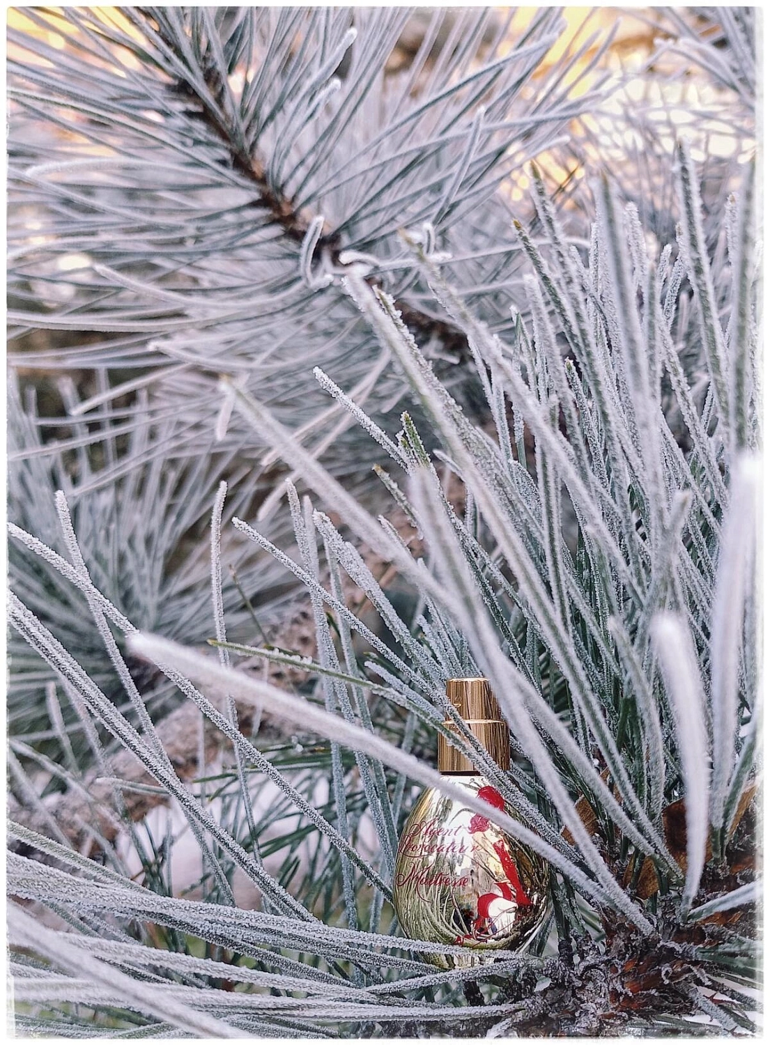 Agent Provocateur Maitresse Gold Edition