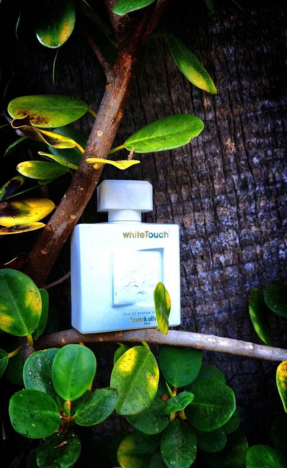 Franck Olivier White Touch