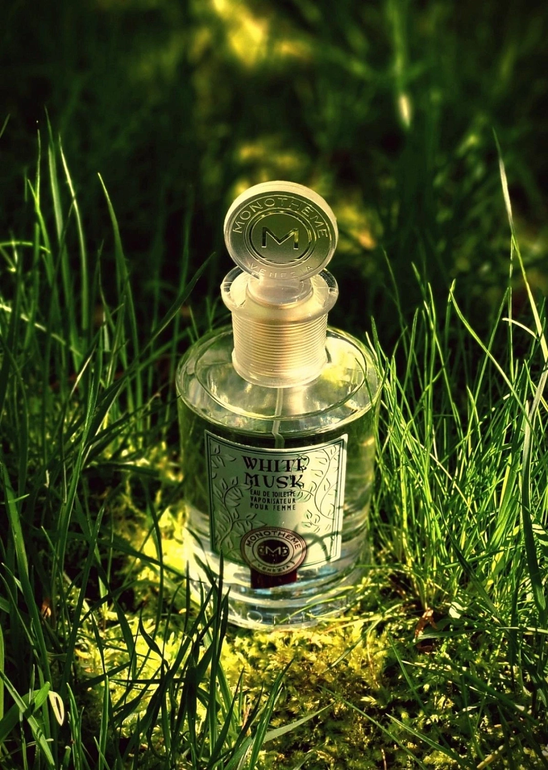 Monotheme Fine Fragrances Venezia White Musk Pour Femme