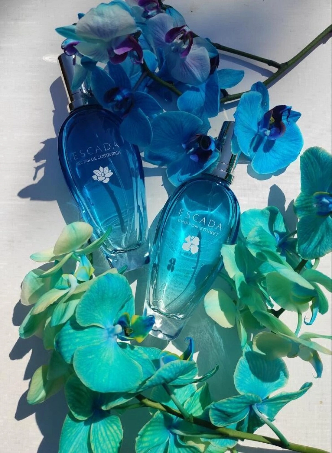 Escada Nectar de Costa Rica