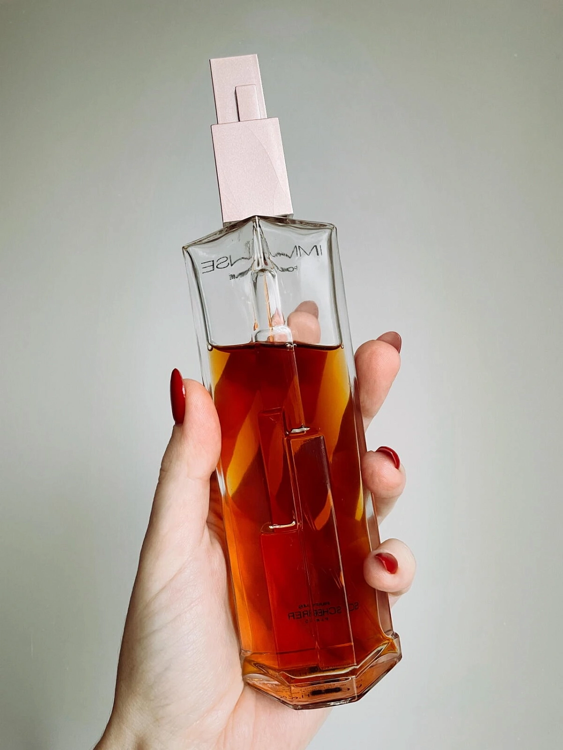 Jean-Louis Scherrer Immense