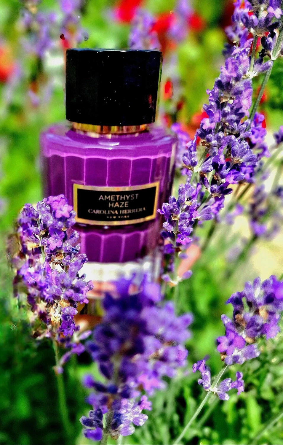 CAROLINA HERRERA Amethyst Haze