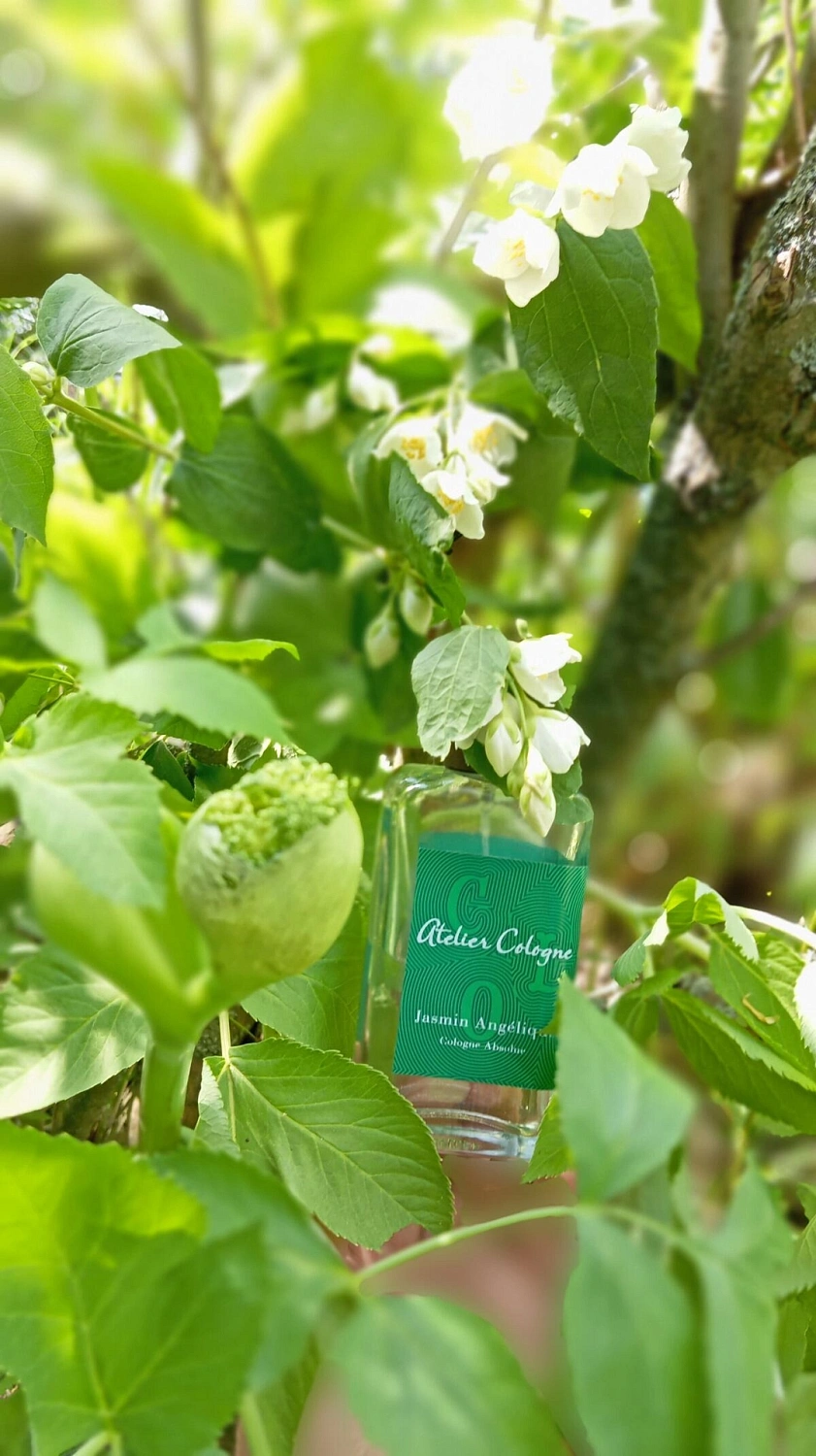 Atelier Cologne Jasmin Angelique Atelier Cologne Jasmin Angelique
